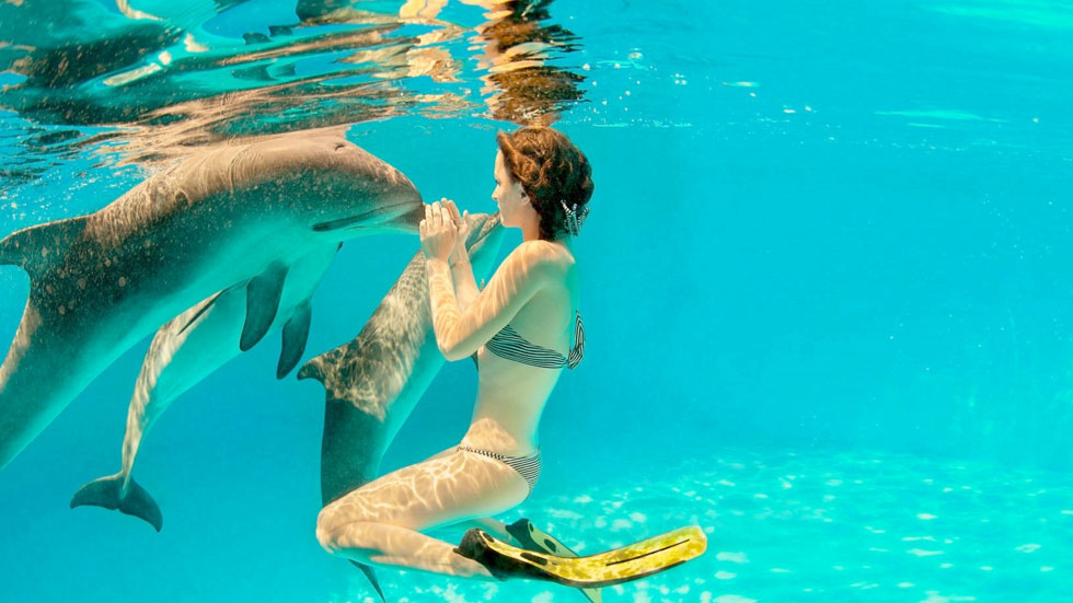 Dolphin-Tour-Zanzibar