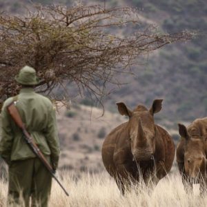 Kenya-6-days-BIG-5-Conservancy-Safari