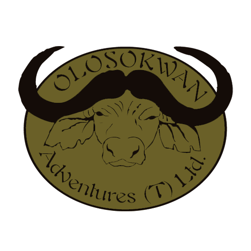 olosokwan-site-icon1